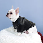 "BAD BULLIE" Leather Dog  Jacket
